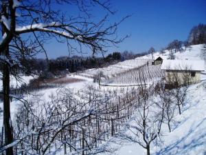 MirnaVasVinjvršč24.2.05 (2)